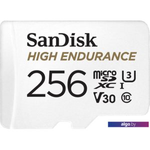 Карта памяти SanDisk High Endurance microSDXC SDSQQNR-256G-GN6IA 256GB