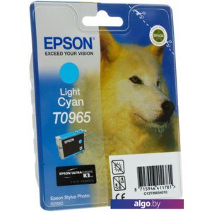 Картридж Epson C13T09654010