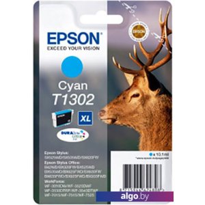 Картридж Epson C13T13024012