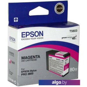 Картридж Epson C13T580300