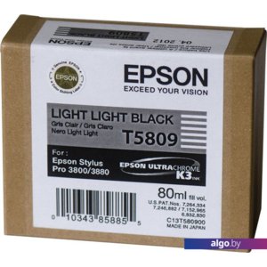 Картридж Epson C13T580900