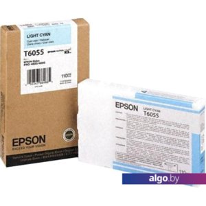 Картридж Epson C13T605500