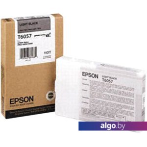 Картридж Epson C13T605700