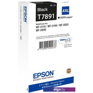 Картридж Epson C13T789140