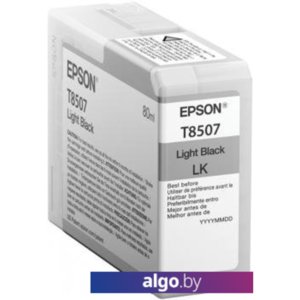 Картридж Epson C13T850700