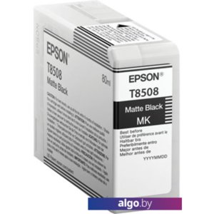 Картридж Epson C13T850800