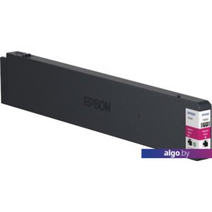 Картридж Epson C13T858300