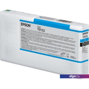 Картридж Epson C13T913200