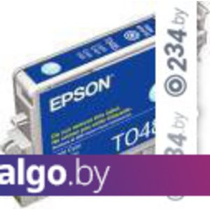 Картридж Epson EPT04854010 (C13T04854010)