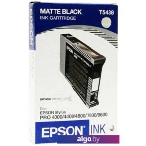 Картридж Epson T543800