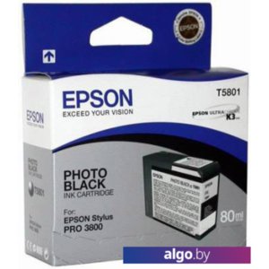 Картридж Epson T580100