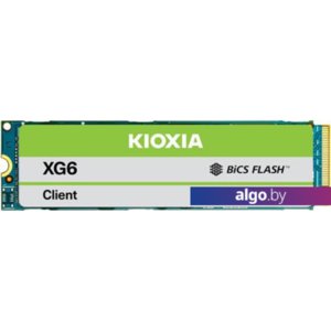 SSD Kioxia XG6 1TB KXG60ZNV1T02