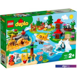 Конструктор LEGO Duplo 10907 Животные мира