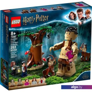 Конструктор LEGO Harry Potter 75967 Запретный лес: Грохх и Долорес Амбридж