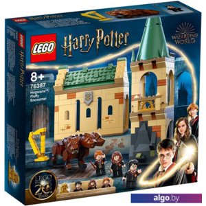 Конструктор LEGO Harry Potter 76387 Хогвартс: пушистая встреча