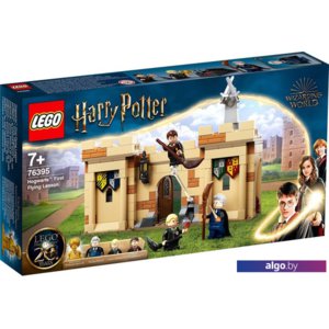 Конструктор LEGO Harry Potter 76395 Хогвартс: первый урок полетов