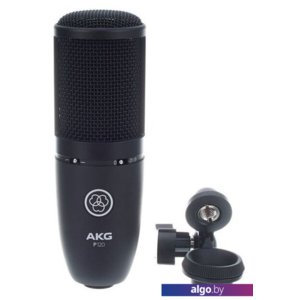 Микрофон AKG P120