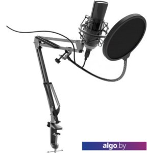Микрофон Ritmix RDM-180