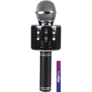 Микрофон Wise WS-858 (черный)