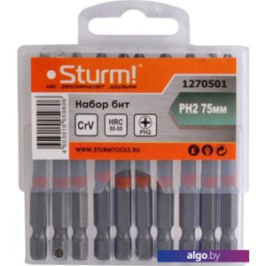 Набор бит Sturm 1270501 (10 предметов)