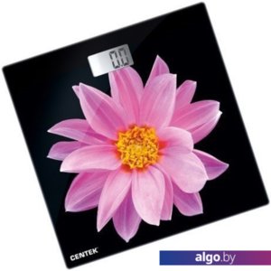 Напольные весы CENTEK CT-2416 Pink Flower