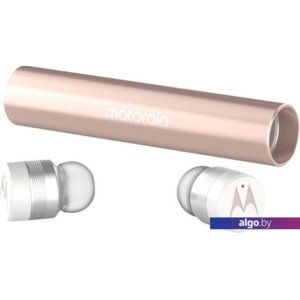 Наушники Motorola Vervebuds 300 (розовый)