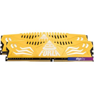 Оперативная память Neo Forza Encke 2x32GB DDR4 PC4-24000 NMUD432F82-3000DC20