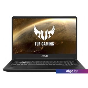 Ноутбук ASUS TUF Gaming FX705GM-EW175