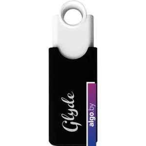 USB Flash Patriot Glyde 128GB (черный/белый)