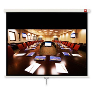 Проекционный экран Avtek Business 280 280x200 (1EVS58)