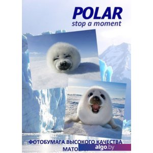 Самоклеящаяся бумага Polar A4K01050 универсальная, 1 деление, A4, 100 г/м2, 50 л