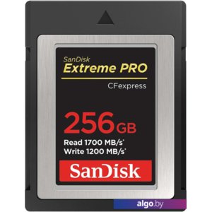 Карта памяти SanDisk Extreme Pro CFexpress Type B SDCFE-256G-GN4NN 256GB