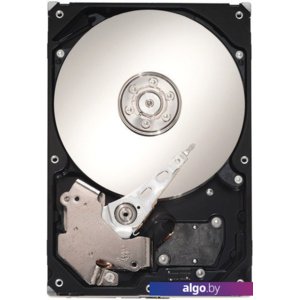 Жесткий диск Seagate Pipeline HD.2 1TB ST31000424CS