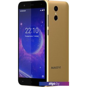 Смартфон Maxvi Vega MS531 (золотистый)