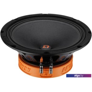 Среднечастотная АС DL Audio Raven 200