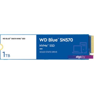 SSD WD Blue SN570 1TB WDS100T3B0C