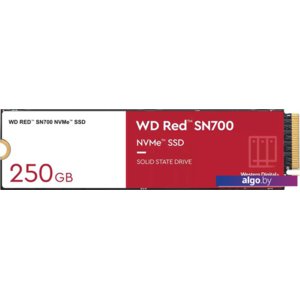 SSD WD Red SN700 250GB WDS250G1R0C