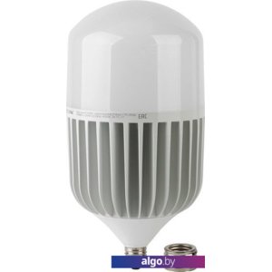 Светодиодная лампа ЭРА LED Power T160 E27/E40 100 Вт 6500 К