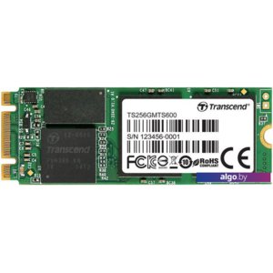 SSD Transcend MTS600 256GB (TS256GMTS600)