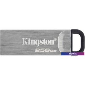 USB Flash Kingston Kyson 256GB