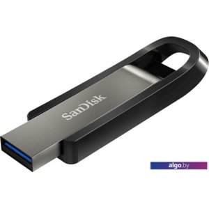 USB Flash SanDisk Extreme Go 256GB