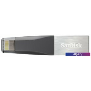 USB Flash SanDisk iXpand Mini 32GB