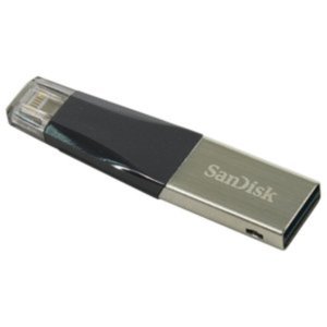 USB Flash SanDisk iXpand Mini 64GB