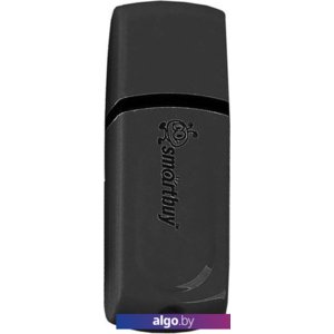 USB Flash Smart Buy Paean 8GB Black (SB8GBPN-K)