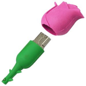 USB Flash Smart Buy Wild series Роза 16GB (красный/зеленый)