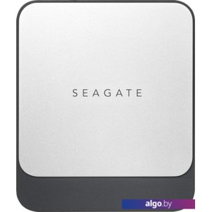 Внешний накопитель Seagate Fast SSD USB-C STCM1000400 1TB