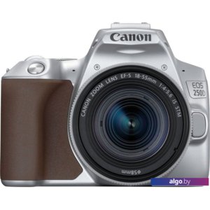 Зеркальный фотоаппарат Canon EOS 250D Kit 18-55 IS STM (серебристый)