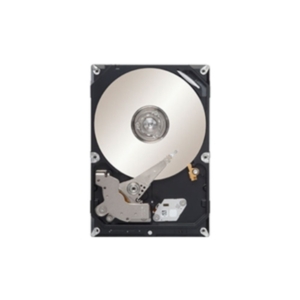 Жесткий диск Seagate Video 3.5 320GB [ST3320311CS]