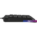 Цифровой блок A4Tech FK13P (черный) Цифровой блок A4Tech FK13P (черный)