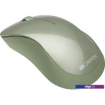 Мышь Canyon CNE-CMSW11SM Мышь Canyon CNE-CMSW11SM